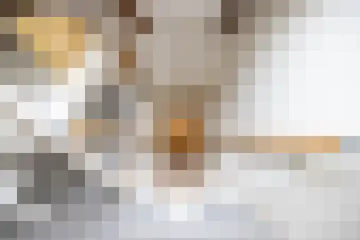 Willemstraat 9 Groningen thumbnail 37