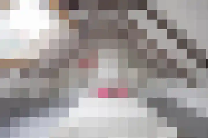 Willemstraat 9 Groningen thumbnail 42