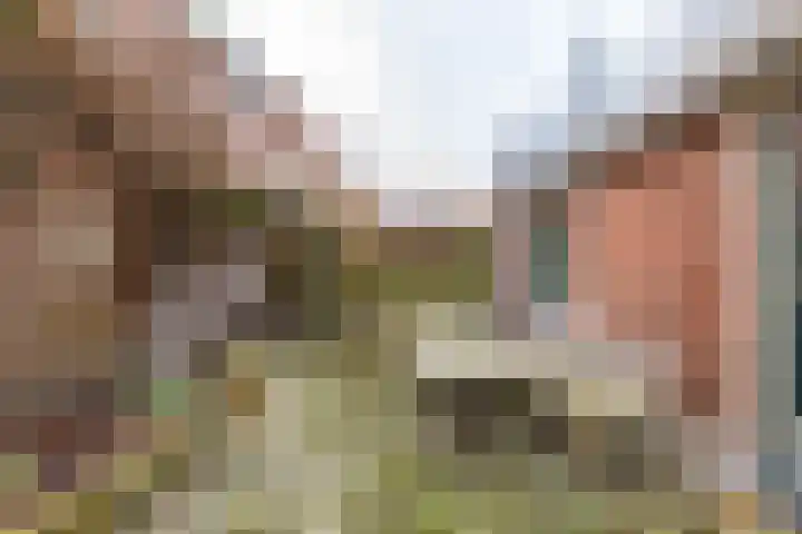 Willemstraat 9 Groningen thumbnail 48