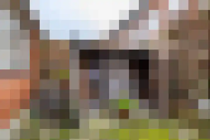 Willemstraat 9 Groningen thumbnail 52