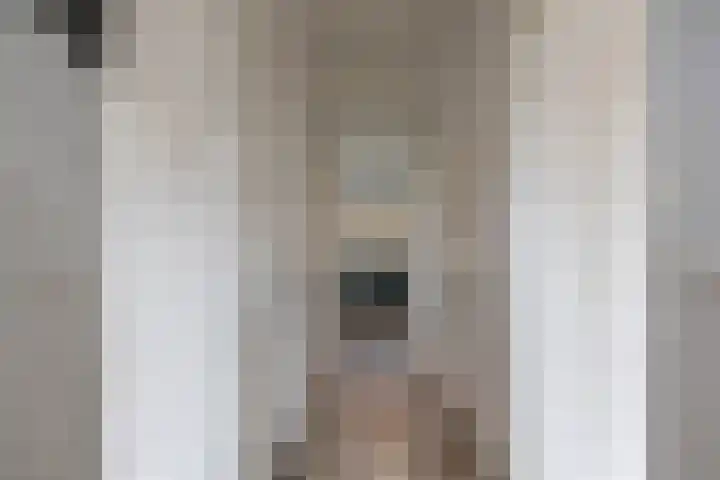 Willemstraat 9 Groningen thumbnail 6
