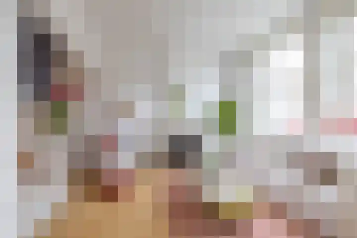 Willemstraat 9 Groningen thumbnail 8