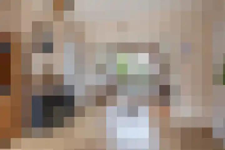 Willemstraat 9 Oude-Tonge thumbnail 12