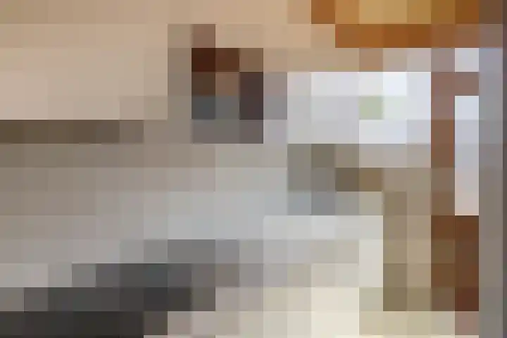 Willemstraat 9 Oude-Tonge thumbnail 14