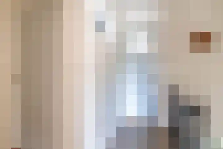 Willemstraat 9 Oude-Tonge thumbnail 24