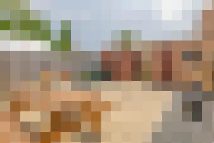 Willemstraat 9 Oude-Tonge thumbnail 26