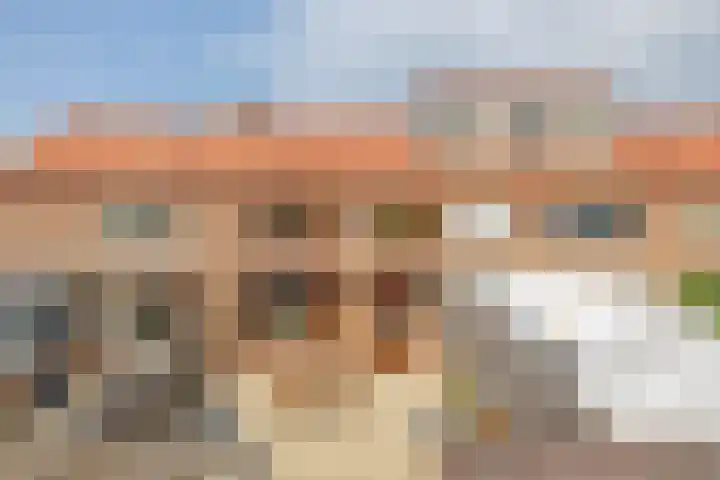 Willemstraat 9 Oude-Tonge thumbnail 30