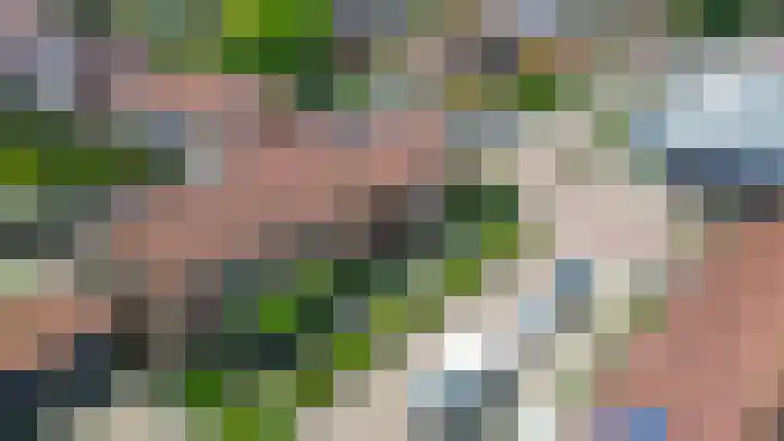 Willemstraat 9 Oude-Tonge thumbnail 32