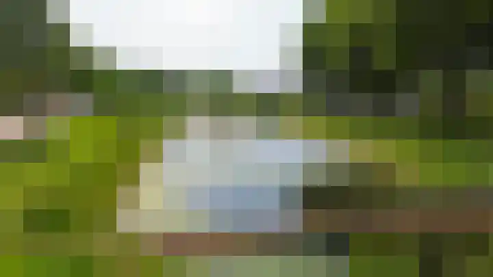 Willemstraat 9 Oude-Tonge thumbnail 36