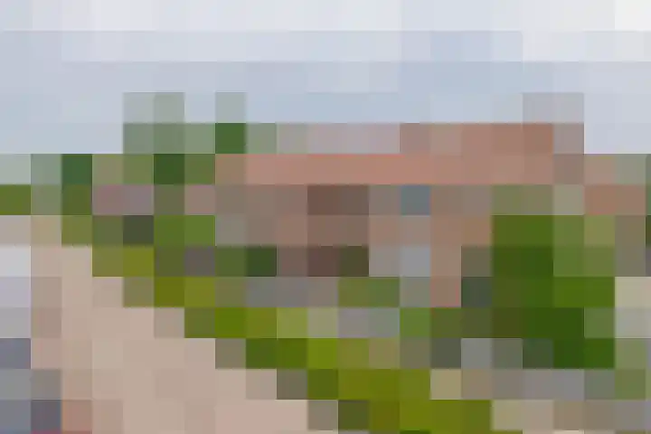 Willemstraat 9 Oude-Tonge thumbnail 4