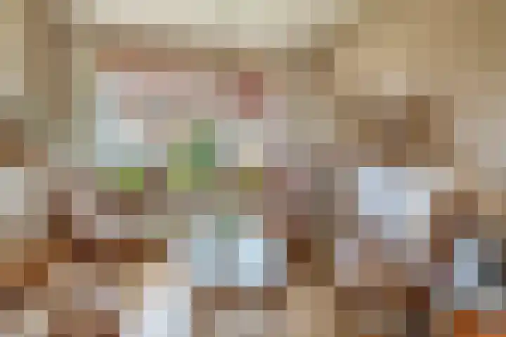 Willemstraat 9 Oude-Tonge thumbnail 8