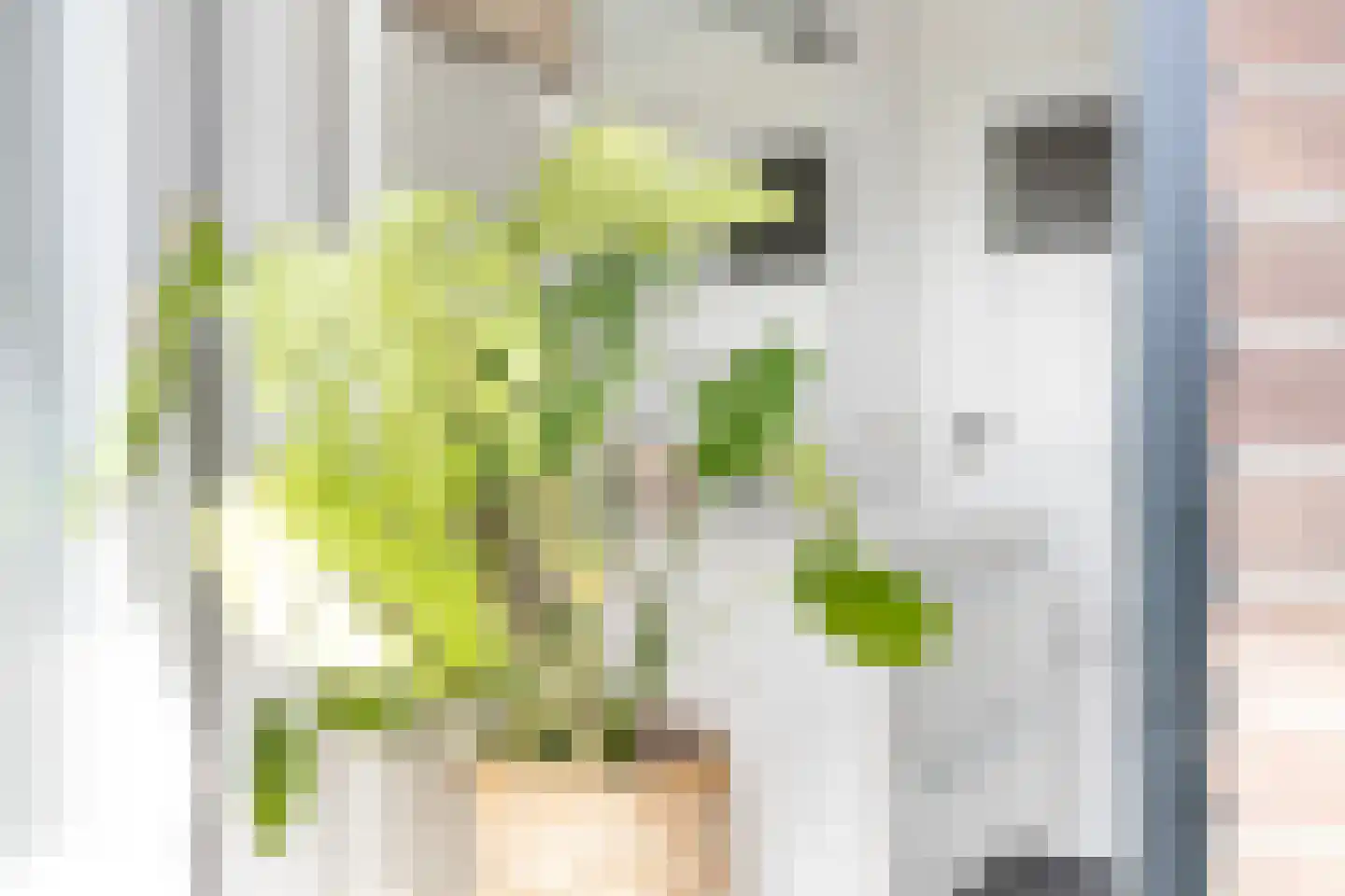 Willemstraat 9 Sneek thumbnail 33