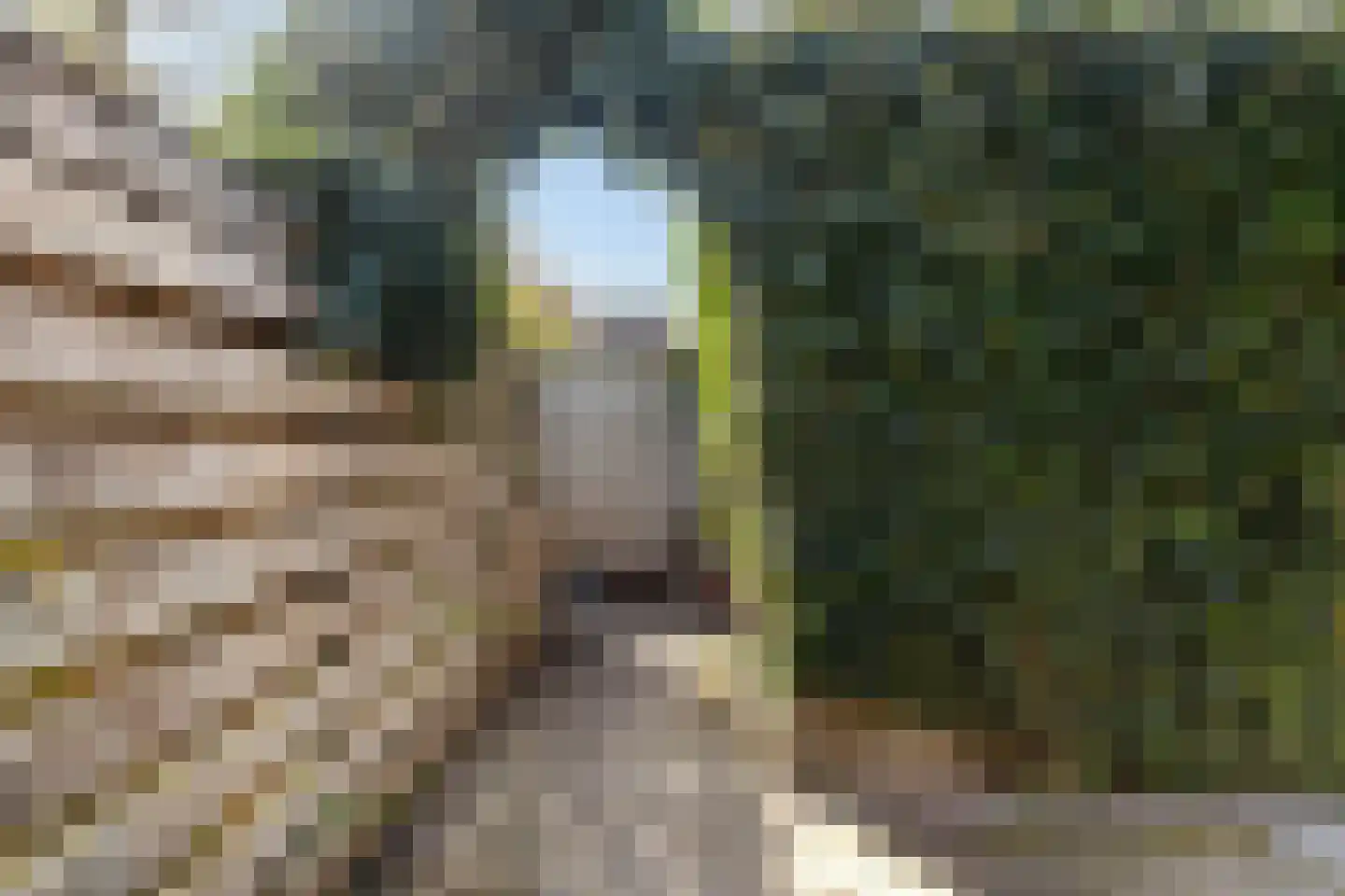 Willemstraat 9 Sneek thumbnail 9
