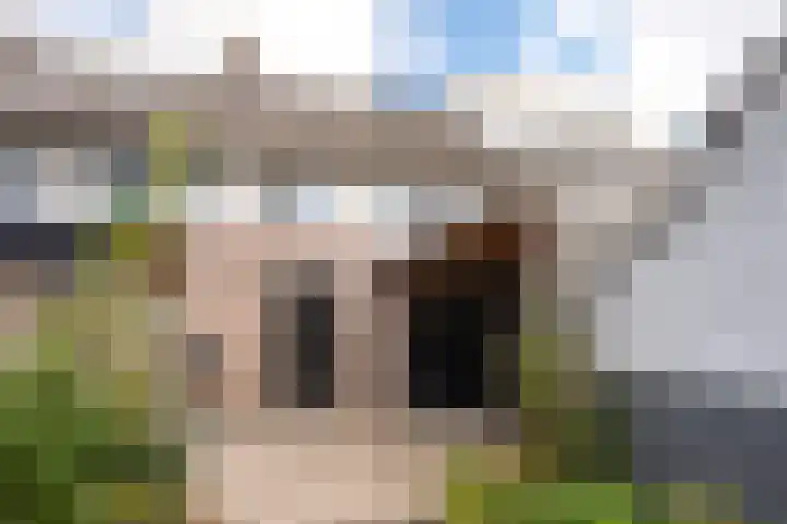 Willemstraat 9 Uden thumbnail 21