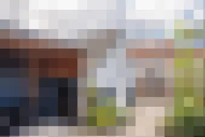 Willemstraat 9 Uden thumbnail 22