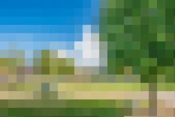 Willemstraat 9 Uden thumbnail 4