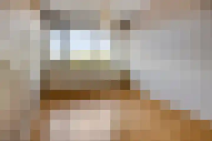 Willemsvaart 1 402 Zwolle thumbnail 7