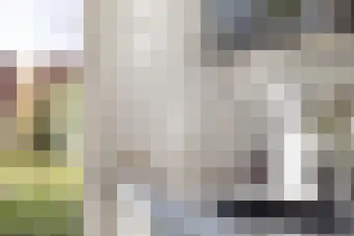 Willemsweg 10 Nijmegen thumbnail 13
