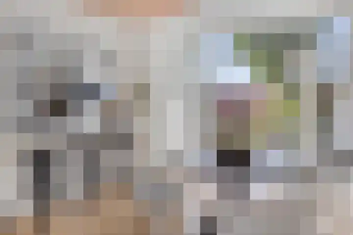 Willemsweg 10 Nijmegen thumbnail 15