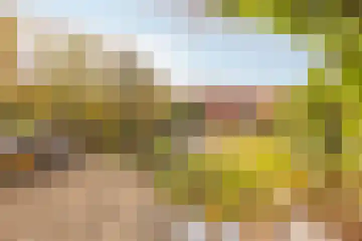 Willemsweg 10 Nijmegen thumbnail 29