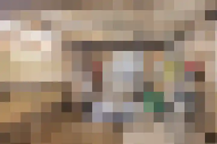Willemsweg 10 Nijmegen thumbnail 31