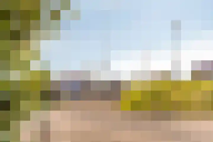 Willemsweg 10 Nijmegen thumbnail 35