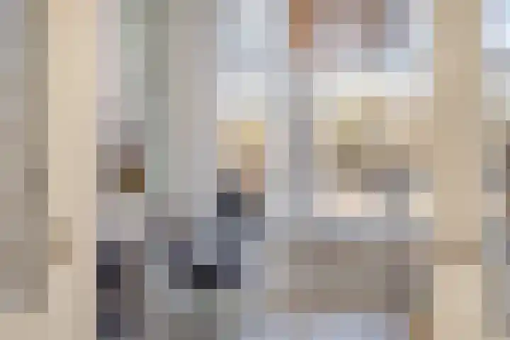 Willemsweg 10 Nijmegen thumbnail 8