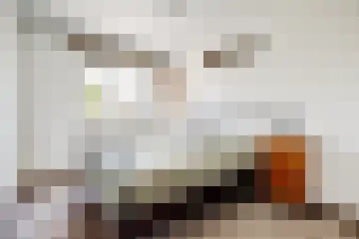 Willemsweg 144 Nijmegen thumbnail 18