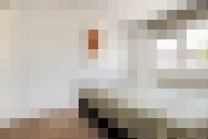 Willemsweg 144 Nijmegen thumbnail 19