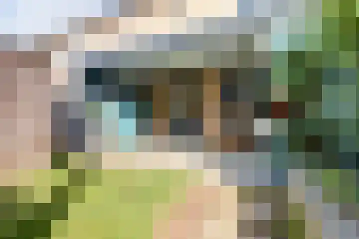 Willemsweg 144 Nijmegen thumbnail 34