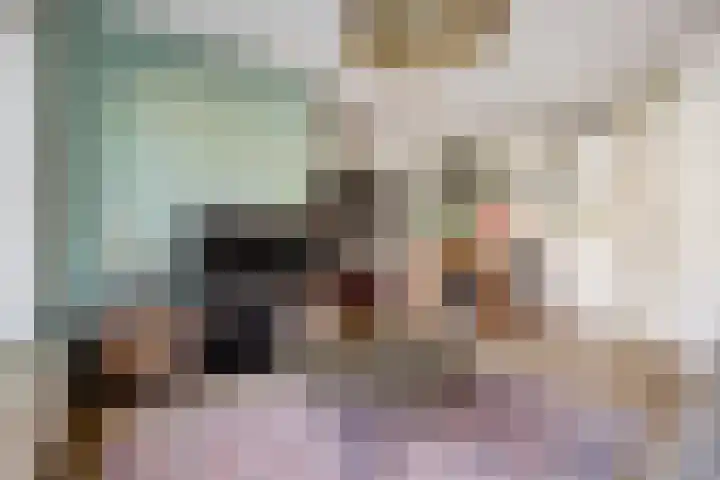 Willemsweg 144 Nijmegen thumbnail 6