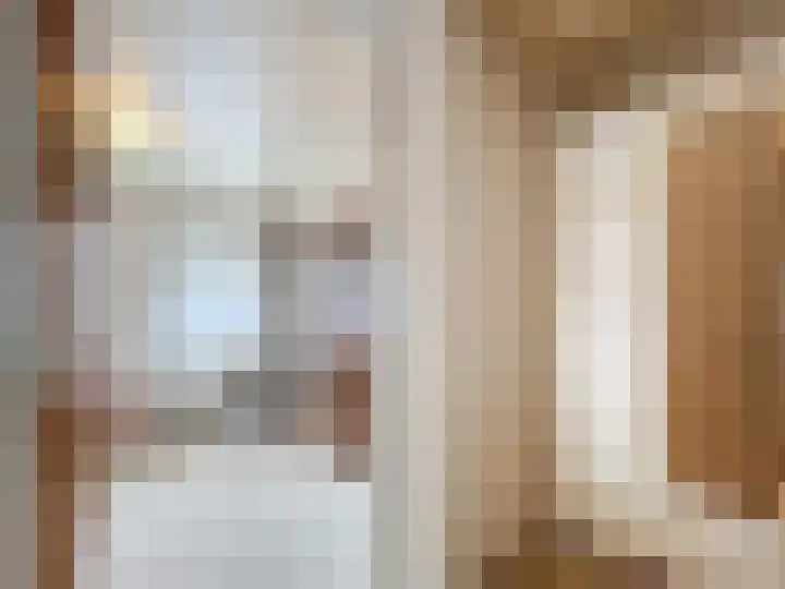 Willemsweg 15 Schoondijke thumbnail 10