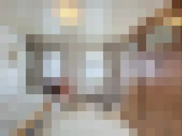 Willemsweg 15 Schoondijke thumbnail 11