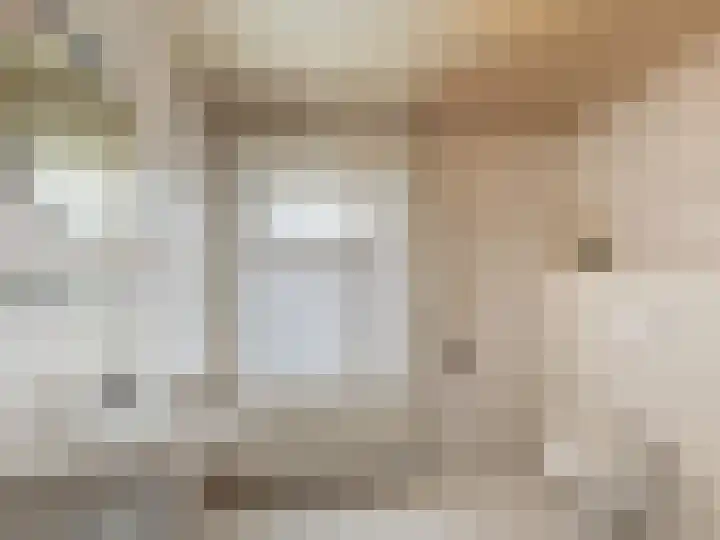 Willemsweg 15 Schoondijke thumbnail 16