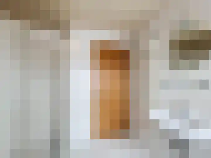 Willemsweg 15 Schoondijke thumbnail 17