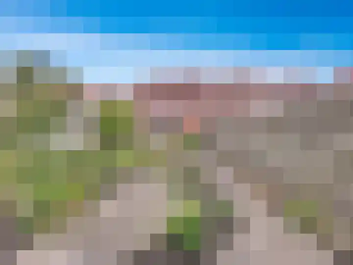 Willemsweg 15 Schoondijke thumbnail 18