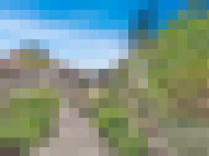 Willemsweg 15 Schoondijke thumbnail 19