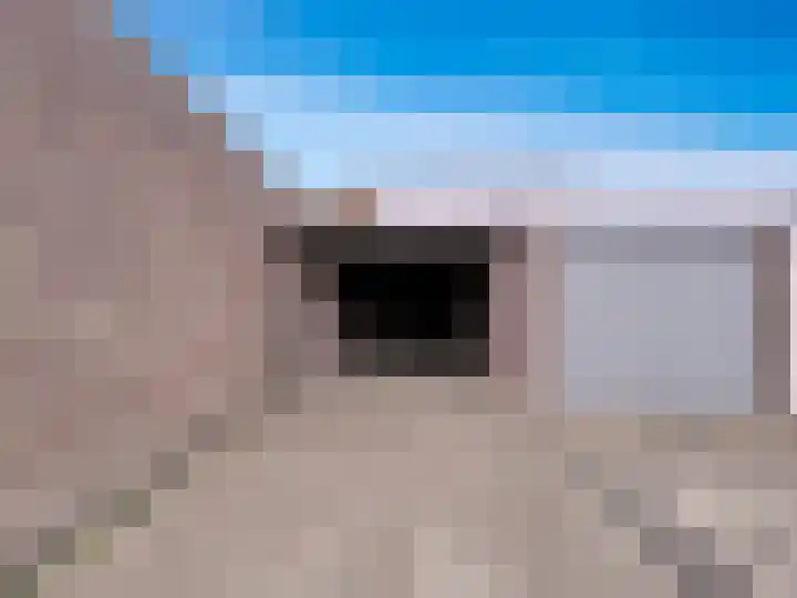Willemsweg 15 Schoondijke thumbnail 21