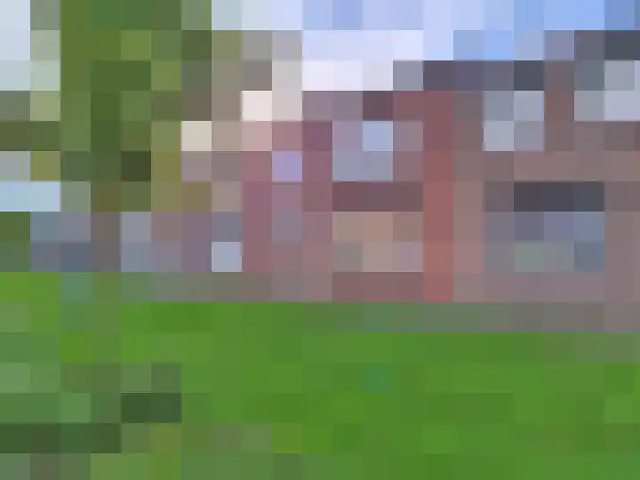 Willemsweg 15 Schoondijke thumbnail 22