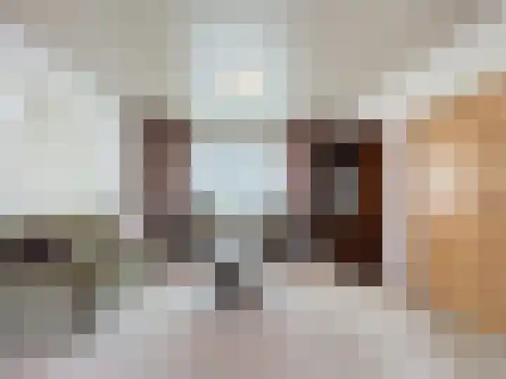 Willemsweg 15 Schoondijke thumbnail 4