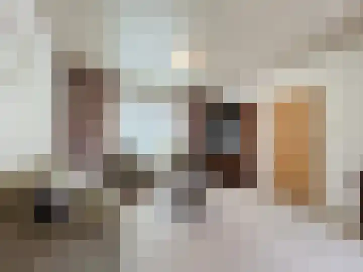 Willemsweg 15 Schoondijke thumbnail 5