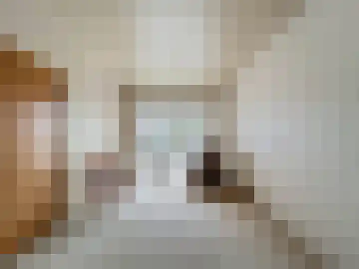 Willemsweg 15 Schoondijke thumbnail 6