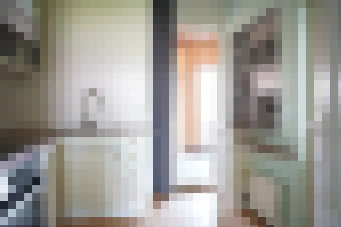 Willemsweg 19 Schoondijke thumbnail 12