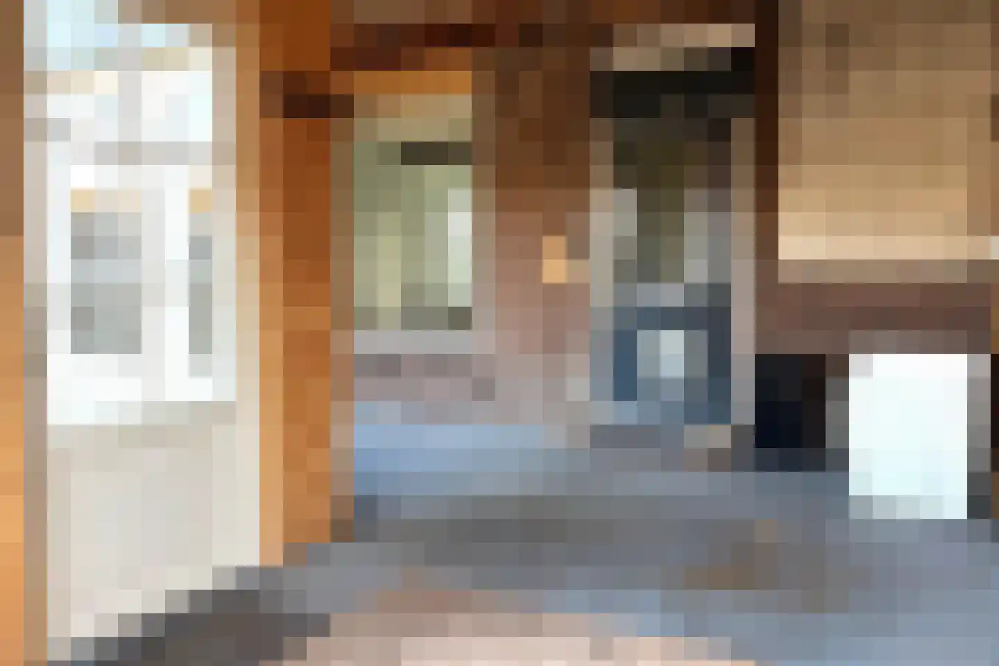 Willemsweg 19 Schoondijke thumbnail 15