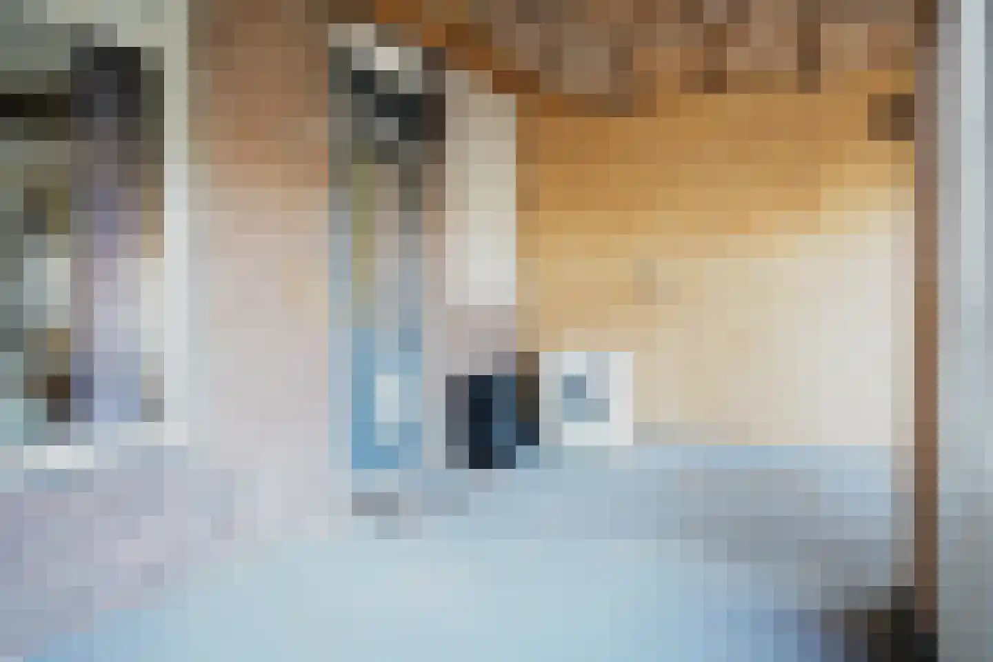 Willemsweg 19 Schoondijke thumbnail 17