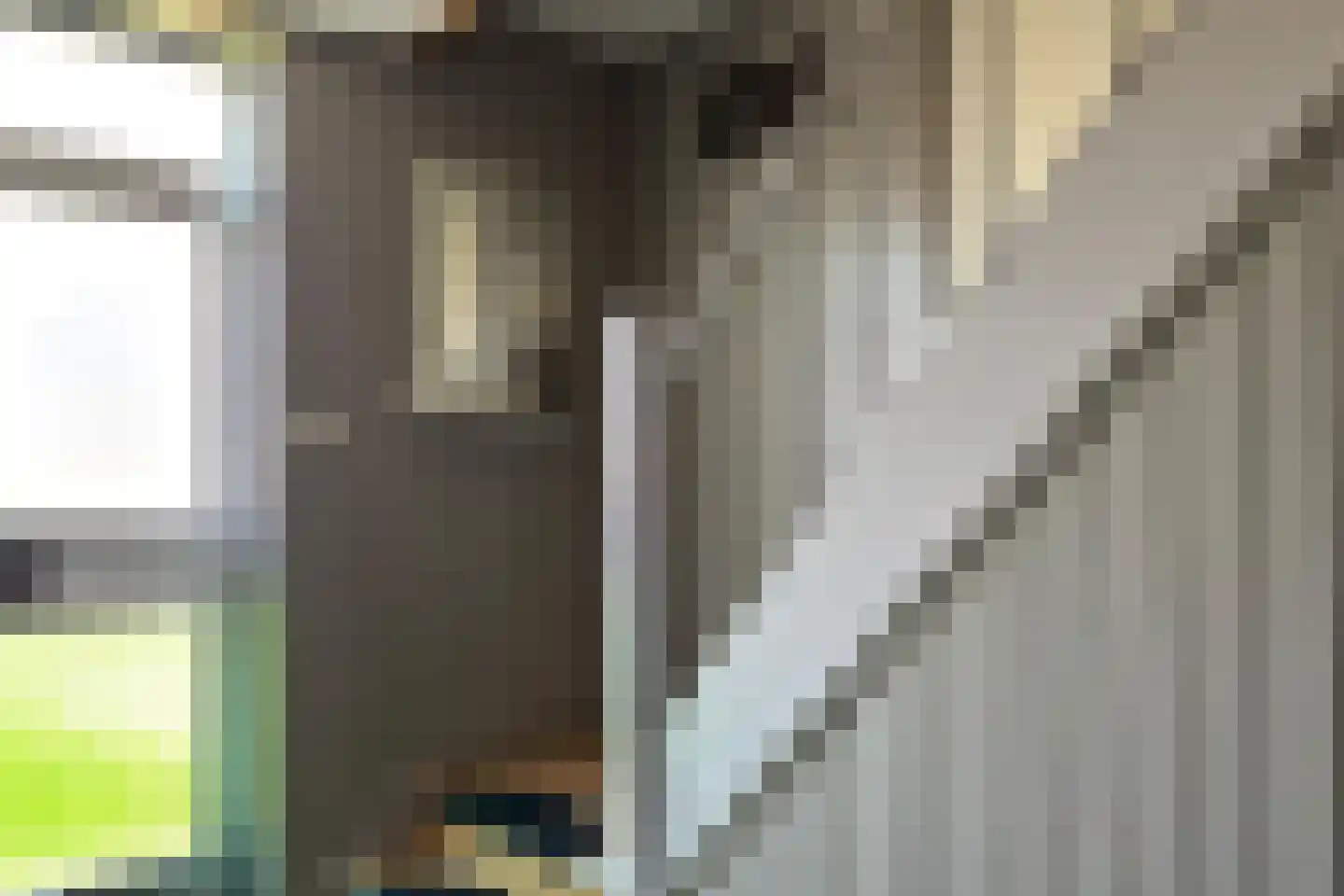 Willemsweg 19 Schoondijke thumbnail 19