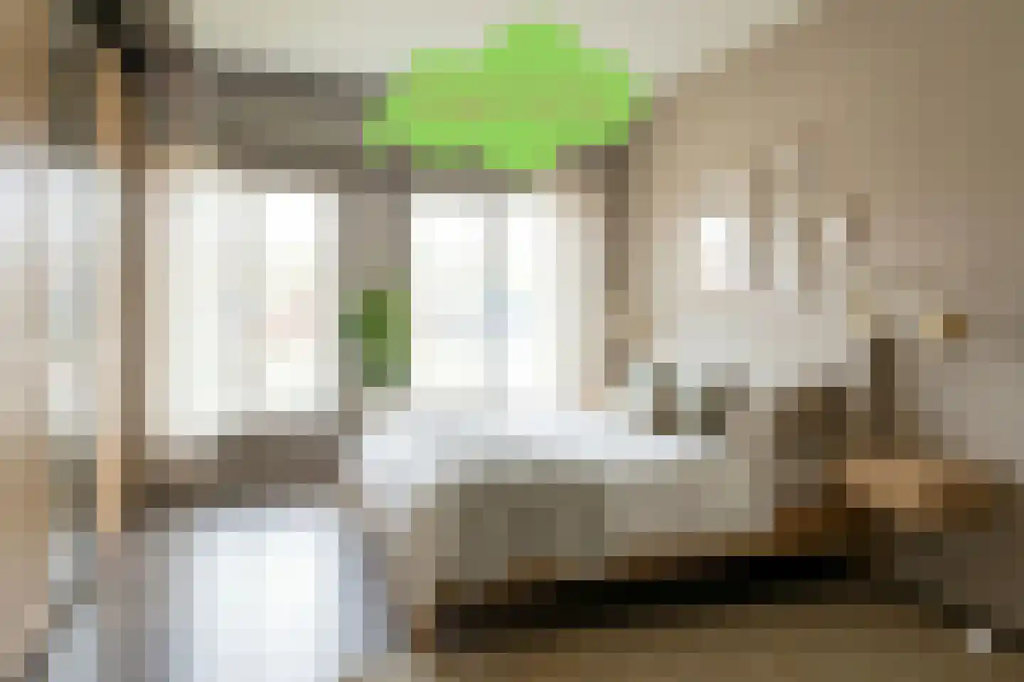 Willemsweg 19 Schoondijke thumbnail 23