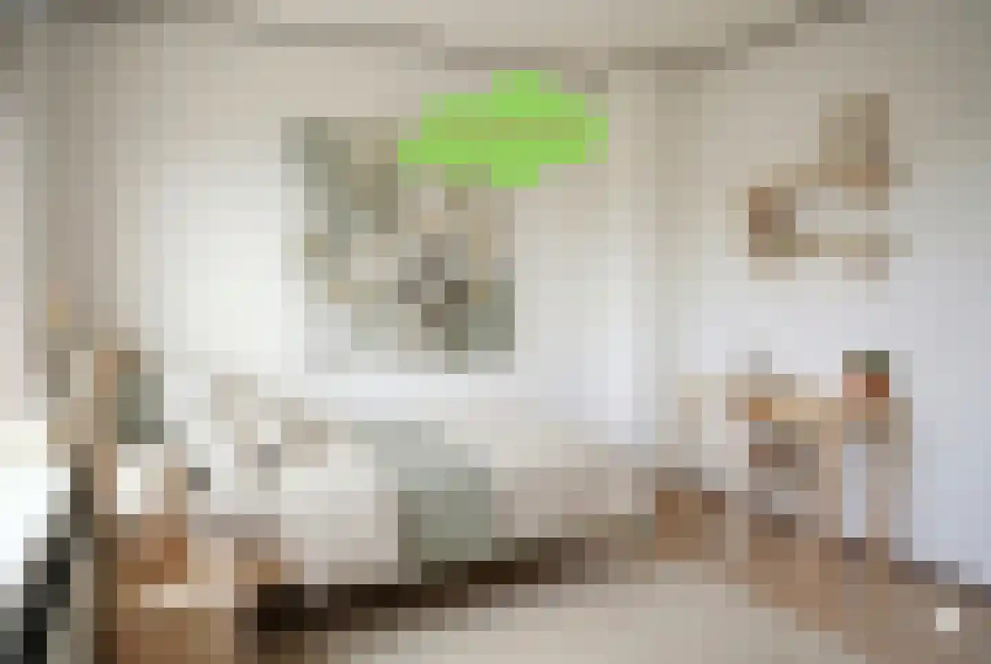 Willemsweg 19 Schoondijke thumbnail 27