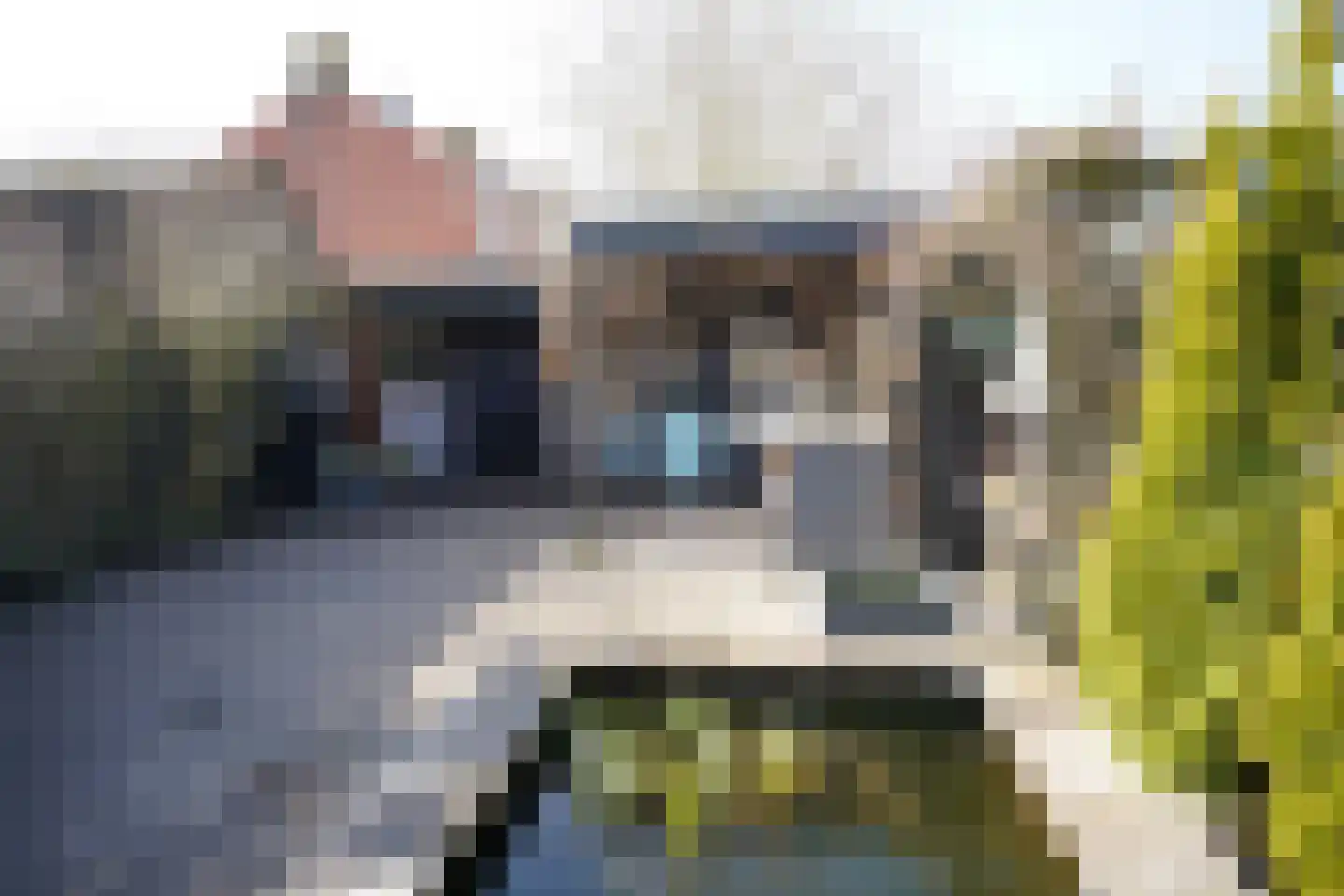 Willemsweg 19 Schoondijke thumbnail 38