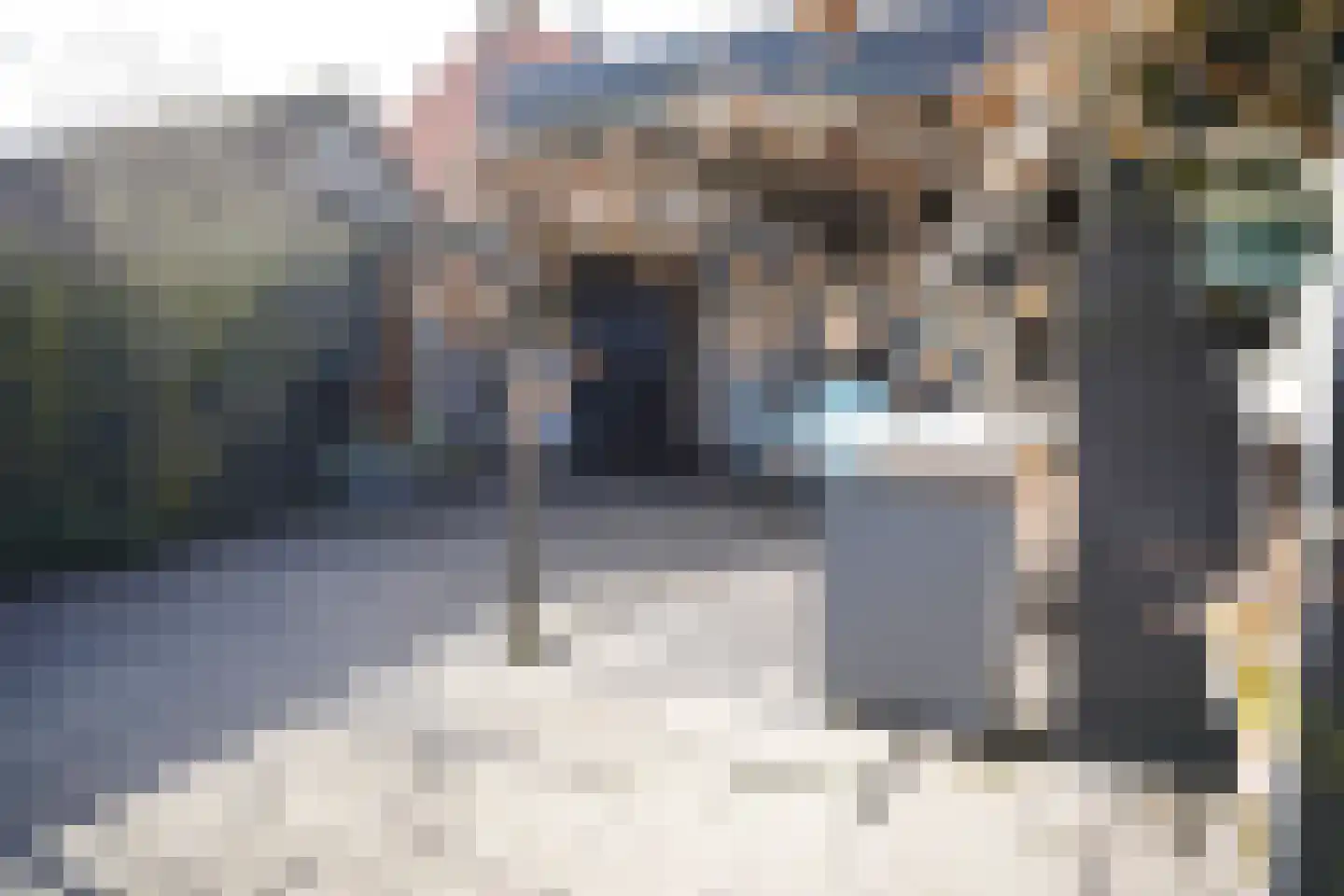 Willemsweg 19 Schoondijke thumbnail 39